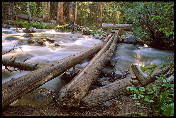 A log bridge crosses a small stream in Colorado. Log bridges are common in the wilderness.