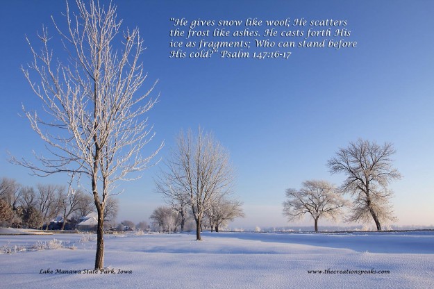 Winter scene photo of snow and  hoarfrost. An outdoor nature scene for outdoor lovers