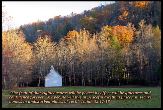 An old church set amongst fading fall trees of the eastern side of Great Smoky Mountain National Park , North Carolina.