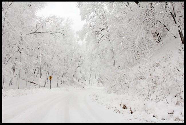 New fallen snow covers a road and trees creating a white Christmas like scene.