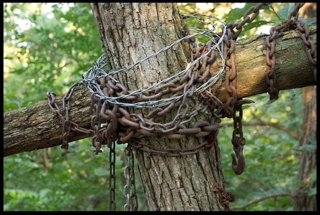 Cross and crown of thorns, Camp Luther, Nebraska Mark 15:38-39. “Truly this man was the Son of God!”