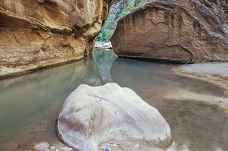 The Virgin River flowing through rock walls in Zion National Park also illustrates the photo design concept of leading lines