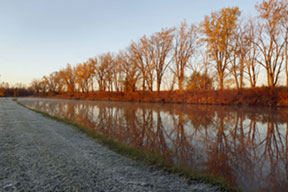 Fall trees Line a canal and illustrate the design concept of leading lines.