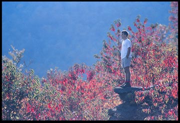 A hiker on a rock with fall colors behind him in North Carolina