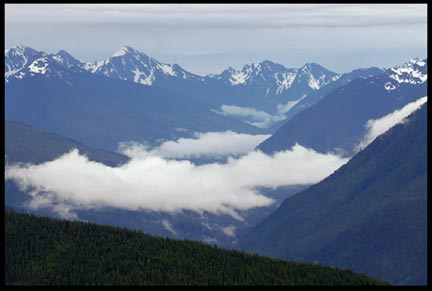 A mountain valley with low clouds and grey sky in Olympic National Park