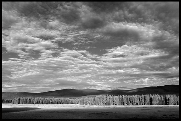 A black and white photo of a clearing in the sky over the trees in the Kawuneeche Valley in Rocky Mount National Park