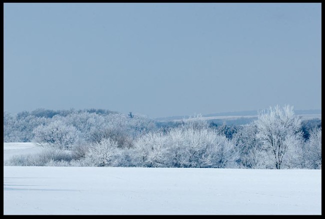Winter blue snow and frost covered field, Eastern Nebraska and Psalm 146:16 He gives snow like wool