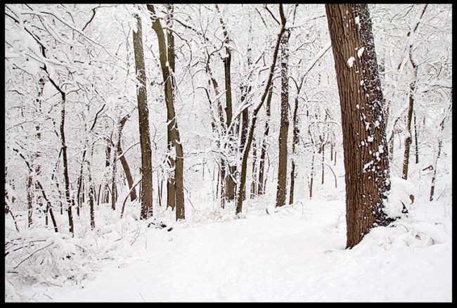 Snow Covered Hiking Trail through the Woods, Fontenelle Forest, Bellevue, Nebraska and Isaiah 1:18 Though your sins are like scarlet, they shall be as white as snow