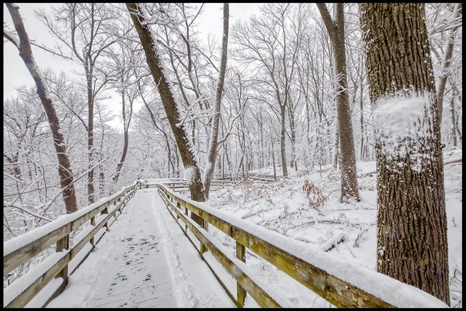 A winter wonderland boardwalk through a snow covered forest, Fontenelle Forest in Eastern Nebraska and 1 Peter 1:14-16 be holy