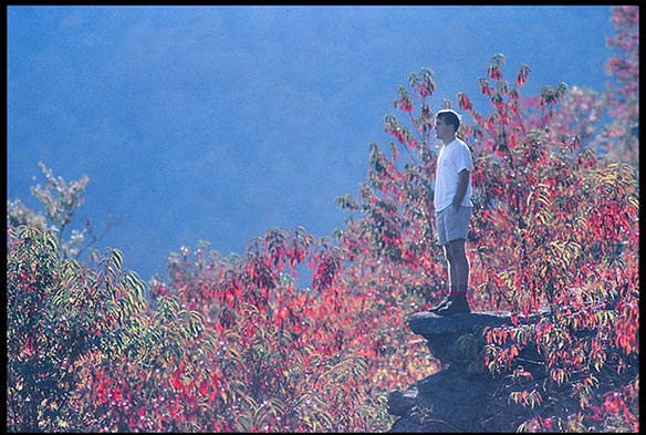 Man on a rock in front of rhododendron in fall colors. Should Christians consider the idea of creation care 