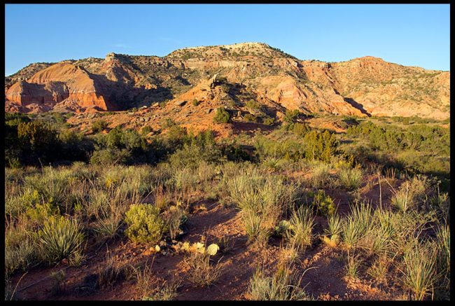 Green desert plants and and red rock land Land formations, Palo Duro Canyon, Texas and Job 38:25-27. Bible verse God satisfies