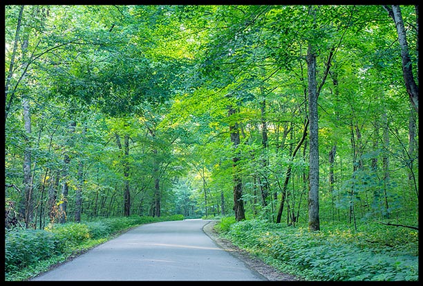 A narrow road winds through trees and the color green in Mystery Cave State Park, Minnesota
