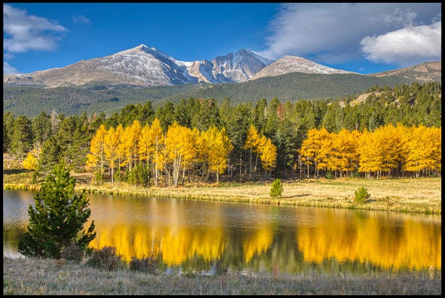 Mount Meeker, Longs Peak and bright yellow aspen trees of autumn in Rocky Mountain National Park, Colorado and Bible verse Isaiah 14:7-8. "the trees rejoice over you"