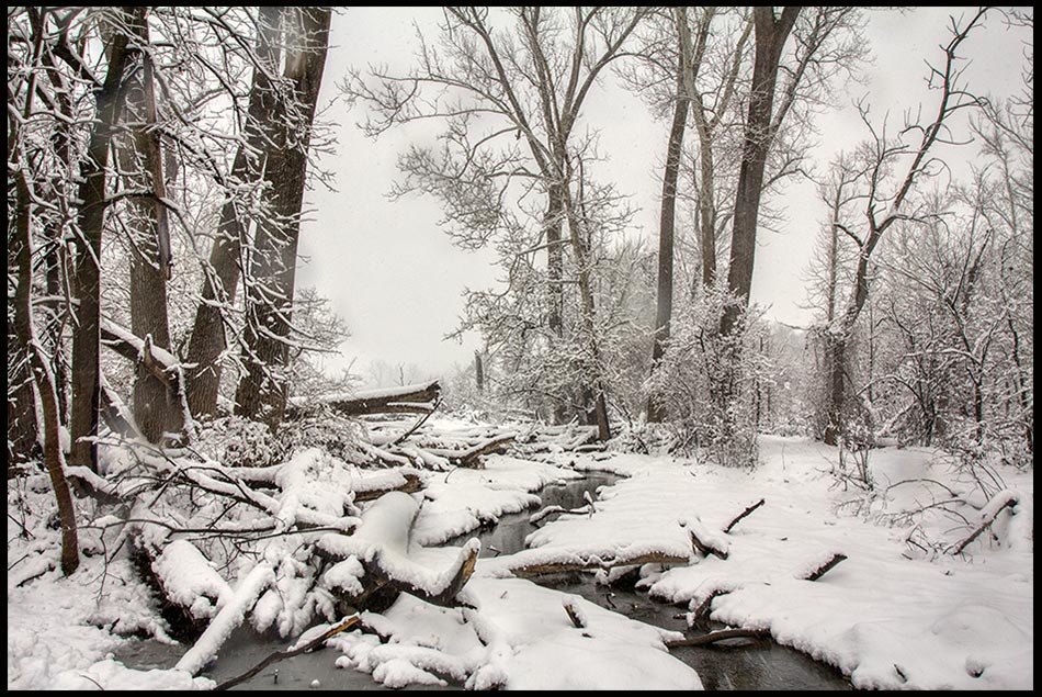 Snow covered stream and trees, Fontenelle Forest, Bellevue, Nebraska and Proverbs 22:11 Bible verse on Purity of heart