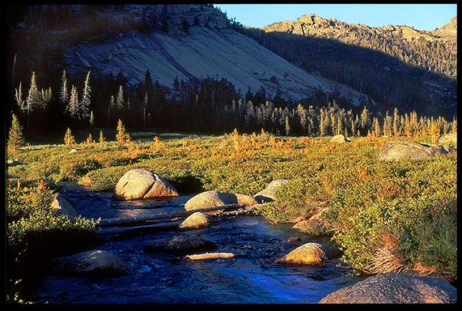A quiet waters stream in a mountain Meadow, Wind Rivers Wilderness, Wyoming and Psalm 23:1-3 Bible verse