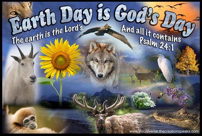 Earth day wildlife collage with a wolf, mountain goat, sunflower, elk, lion and other animals with Ps 24:1 the earth is the Lords