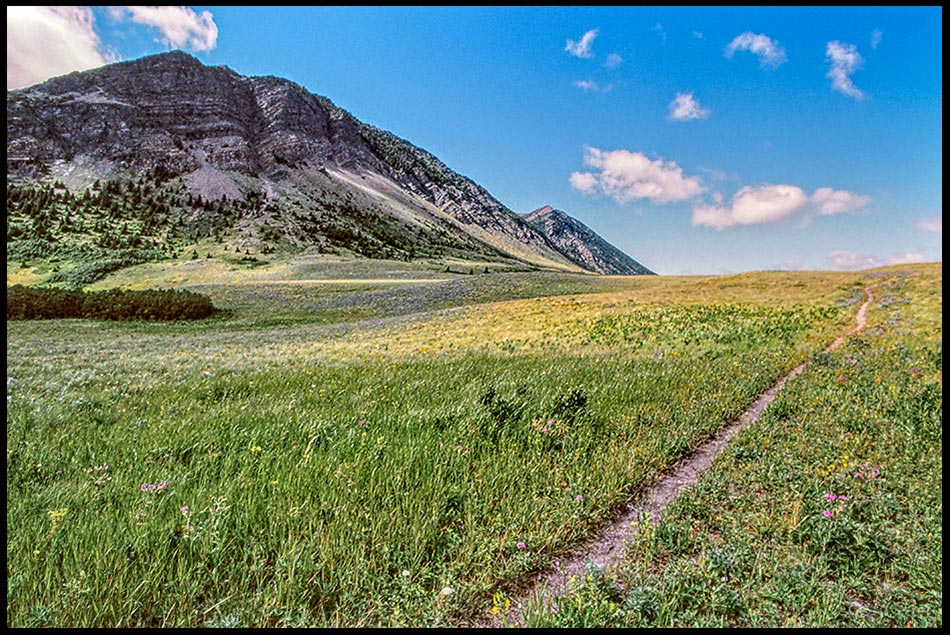 A level path or trail through a Meadow in the Canadian Rockies, Waterton Lakes National Park, Alberta, Canada and Isaiah 26:7 Bible verse