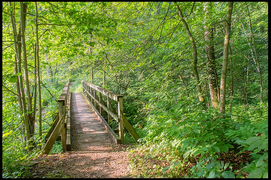 Footbridge through green trees in Forestville Mystery Cave State Park and Bible verse Psalm 139 the everlasting way