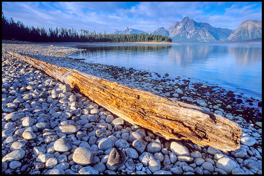 An old log on the rock beach of Coulter Bay with Mount Moran in the background, Grand Teton National Park, Wyoming. Bible verse Psalm 96:5-6 majesty of God