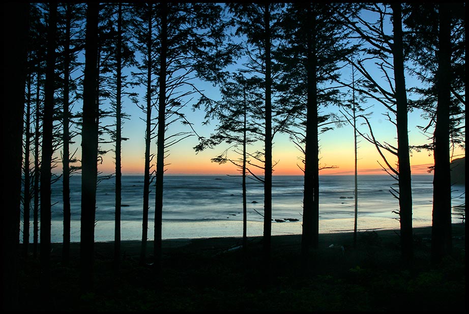 Silhouetted trees by a sunset on the Pacific Ocean, Olympic National Park, Washington State and Psalm 23:6, goodness and mercy will follow me