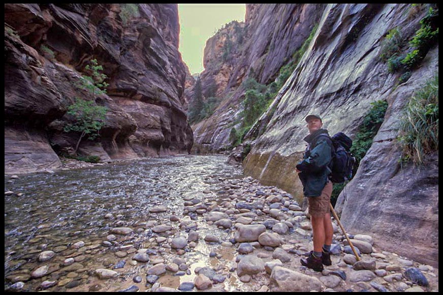 Hiker beneath cliffs in The Narrows, Zion National Park, Utah and Psalm 119:9-10. Keep his way pure