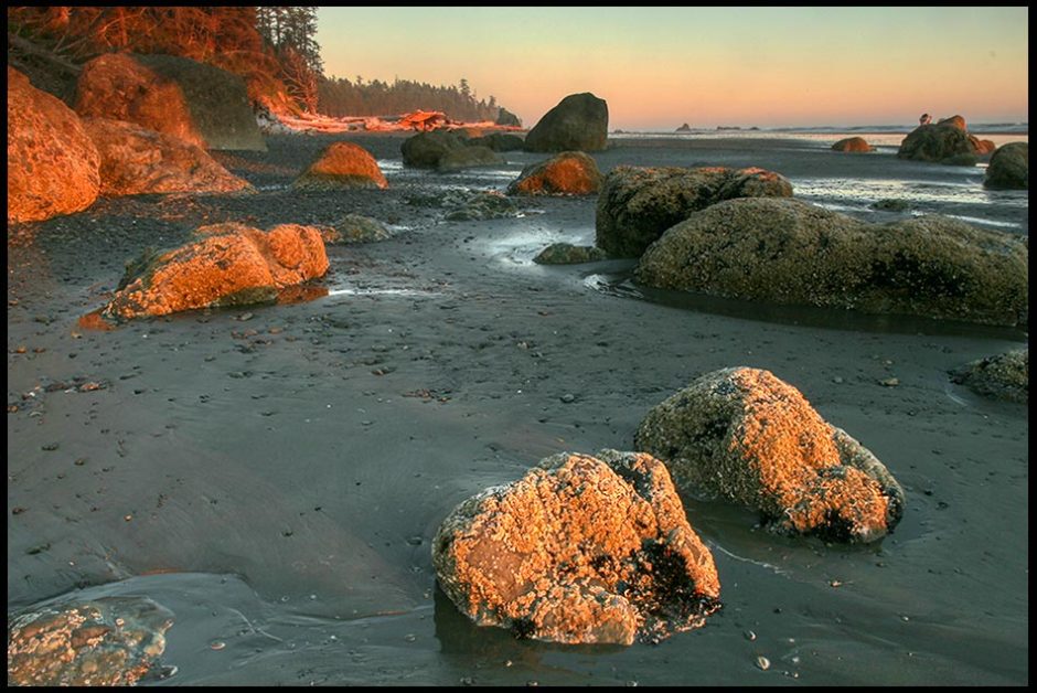 Boluders on the rocky coastline, Olympic National Park, Washington at sunset and Matthew 16:24 Bible verse to follow God