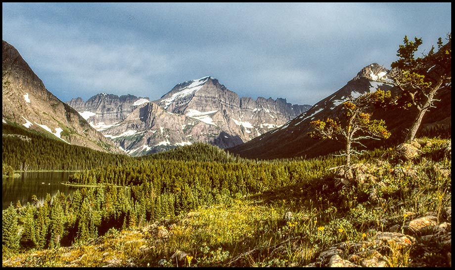 A rugged Mountain landscape in the Canadian Rockies with a lake and forest, Waterton Lakes National Park, Alberta