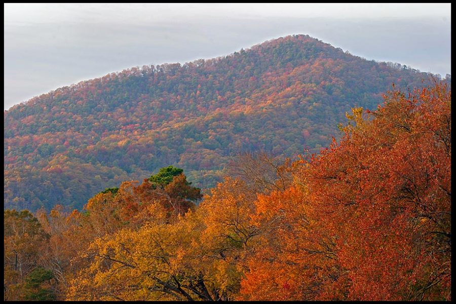 Fall colors on the mountains and Trees around Cades Cove, Great Smoky Mountains National Park, Tennessee and Psalm 145:5-6" God's glorious splendor bible verse