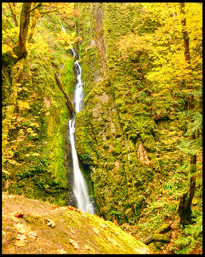 Golden fall maple trees surround Lower Soda Falls, a waterfall in Cascadia State Park, Oregon Visual Bible Verse of the Day: Guest Post by Kevin Shilts Genesis 28:16 The Lord is in this Place