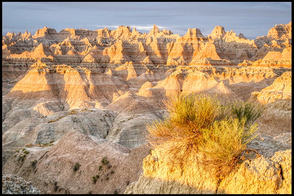 Desert Bush and Rock Formations, Badlands National Park, South Dakota and Luke 5:16. Jesus would often slip away to the wilderness. Bible Verse