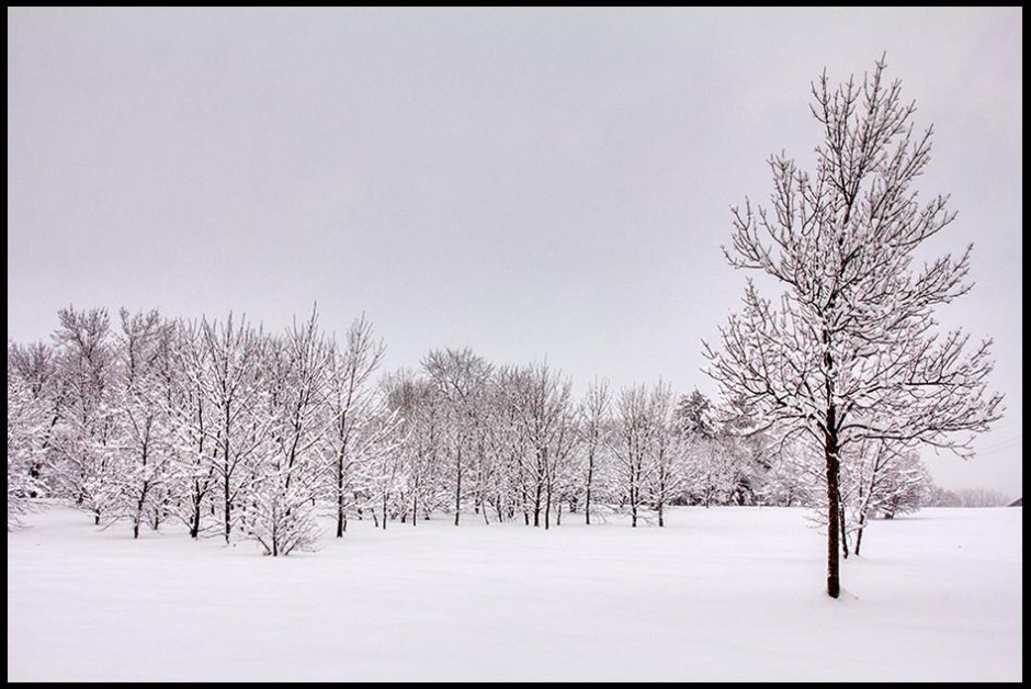 Trees Covered with new fallen snow in a snowy white seen in Eastern Nebraska with 2 Corinthians 5:21