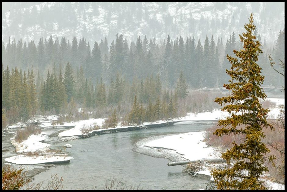 A photo looking down on a snowy river through trees in Alberta, Canada. Bible Verse of the Day: Luke 1:31-33 Son of the most high
