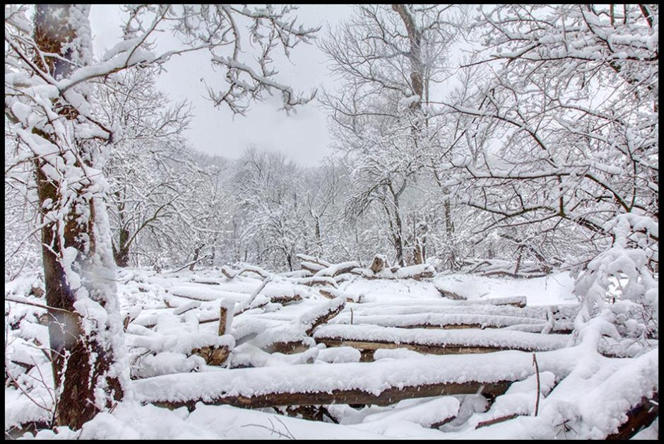 Snow covered fallen trees on a stream, Fontenelle Forest, Bellevue, Nebraska and Isaiah 61:10. Bible verse “wrapped me with a robe of righteousness