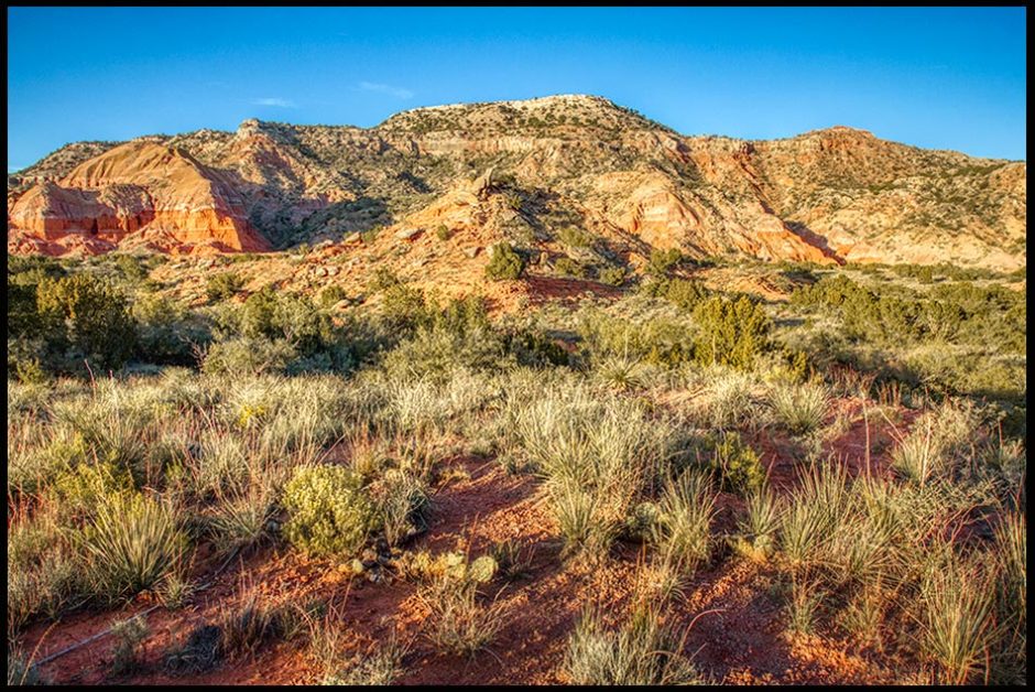 The desert red rock, sand dunes and catus of Palo Duro Canyon, Texas. Bible Verse of the Day: Psalm 143:5-6 and a Parched Land