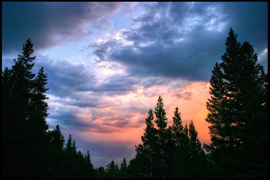 Silhouetted pine trees against a twilight sky with red and blue clouds. Nehemiah 9:6 Bible verse, The highest heaven