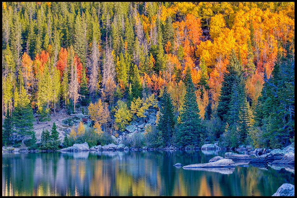 Pine trees and red and orange aspens trees on the shore of Bear Lake, Rocky Mountain National Park, Colorado. Bible Verse of the Day: 1 Chronicles 16:23-24