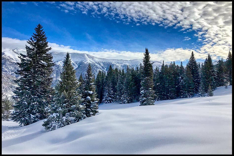 A snow covered ski slope through pine trees with blue sky and puffy clouds at Copper Mountain, Colorado