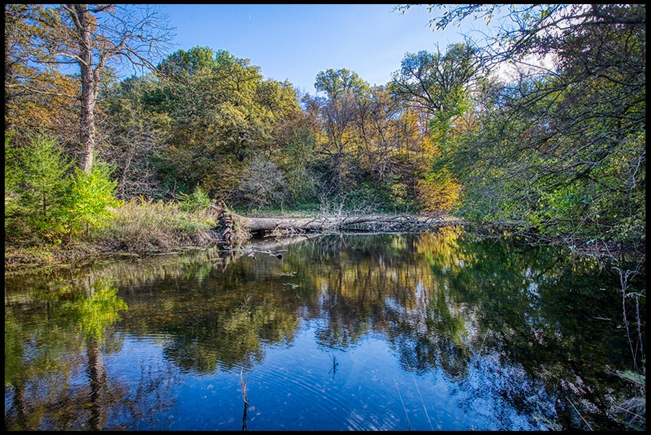 The blue sky and slightly turned fall trees reflect in a small pond at Hitchcock Nature Center, Iowa. Bible Verse of the Day: Psalm 136:26