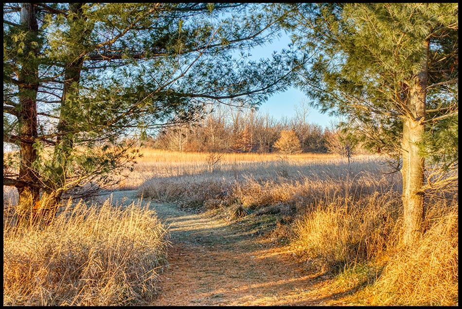 A fall Path to follow through pine trees that look like a gate, Chalco Hills State Recreation Area, Nebraska. Bible Verse of the Day: Psalm 25:4-5 and God's Path to Follow