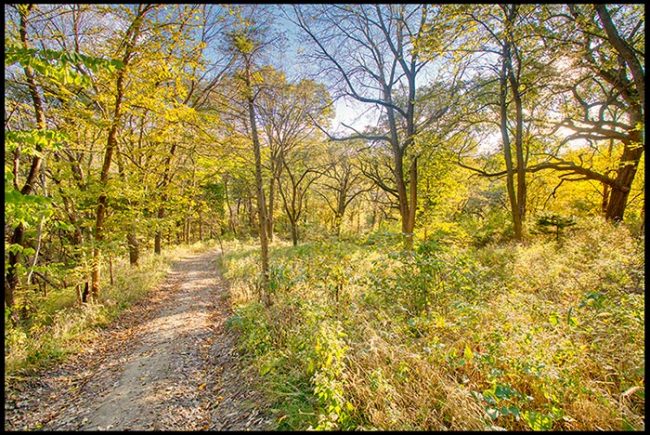 The trail through autumn colored leaves under a blue sky Fontenelle, Nebraska. Nature shells there is meaning to life