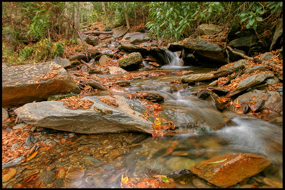Stream covered with fall leaves, Great Smoky Mountains National Park, Tennessee and Isaiah 12:2, 3 refreshes and restores