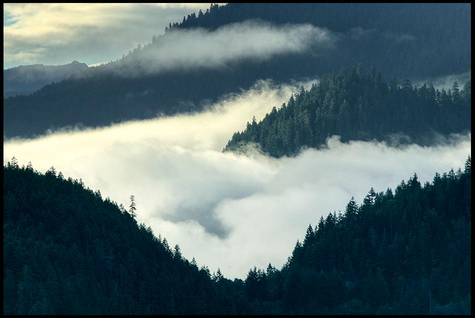 Low clouds and fog weave between hills at, Olympic National Park, Washington State and Isaiah 44: 22-23a. Joy of forgiveness Bible verse