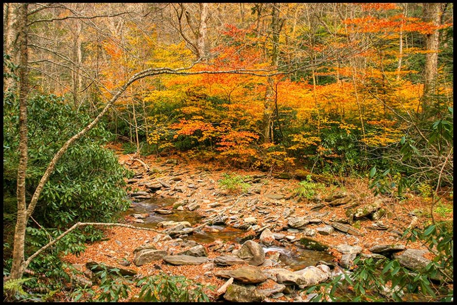 Stream and autumn orange and red displayed on trees, Great Smoky Mountains National Park, Tennessee and Revelation 4:11 God is worthy