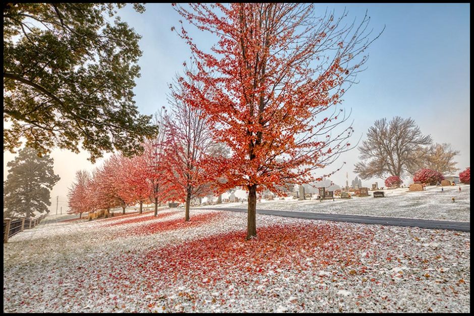 Red Maple trees with some fallen leaves on the ground with light snow in St. John’s Cemetery, Bellevue, Nebraska. Bible Verse of the Day: 1 Corinthians 15:51-52 and the resurrection of the dead