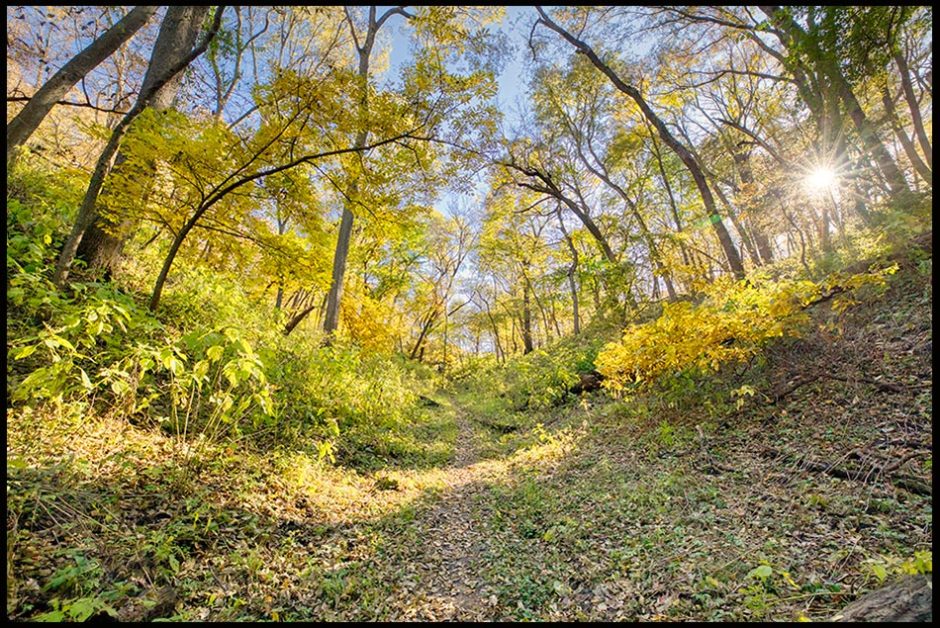 A hollow in the woods headed towards the sun low in the sky, Fontenelle Forest, Bellevue, Nebraska. Mark 1:35 secluded placewith Jesus