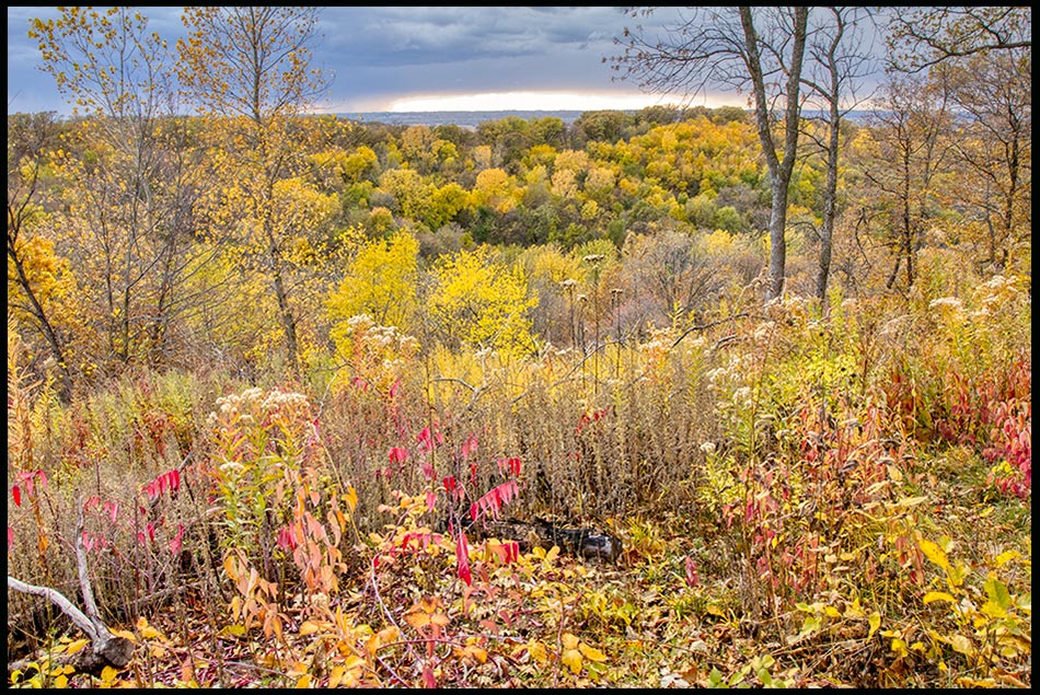 Trees display bright autumn colors Hitchcock Nature Center, Iowa and 1 Chronicles 16:27. "Splendor and majesty are before Him" 1 Chronicles 16:27 Bible verse
