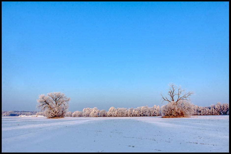 Blue sky and snow covered soybean field in Eastern Nebraska. Christmas Bible verse of the day Luke 2:10-12. Christ the Lord and come all ye faithful