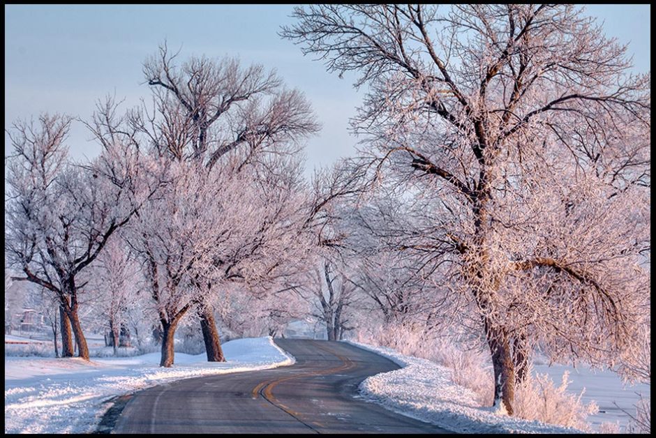  A road winds through hoarfrost covered trees, Lake Manawa State Park, Iowa and Christmas Carol "O Come All Ye Faithful"