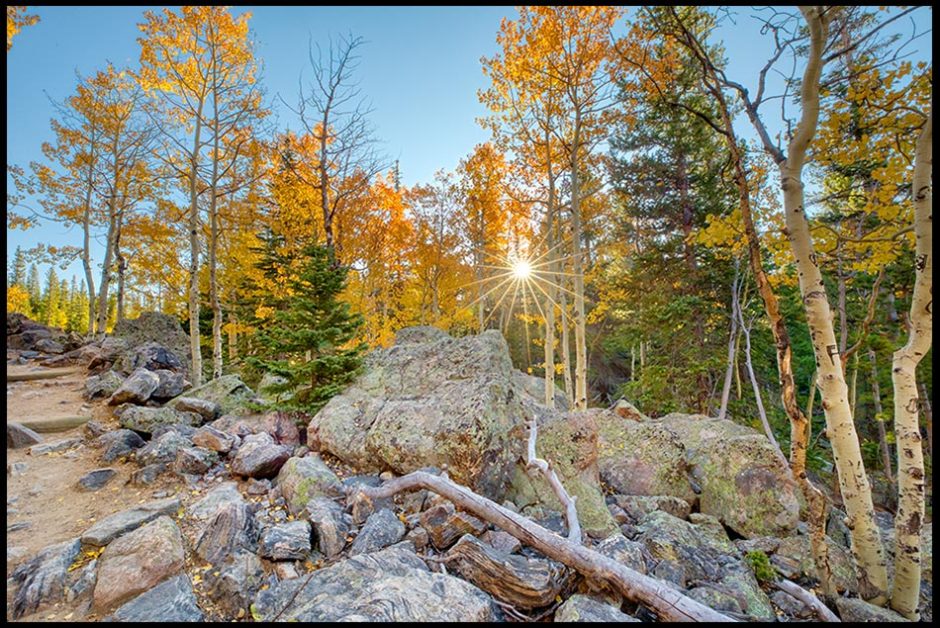The Sun rising and shinning through yellow fall aspen trees in Rocky Mountain National Park. Bible Verse of the Day Malachi 4:2 and Sun of Righteousness