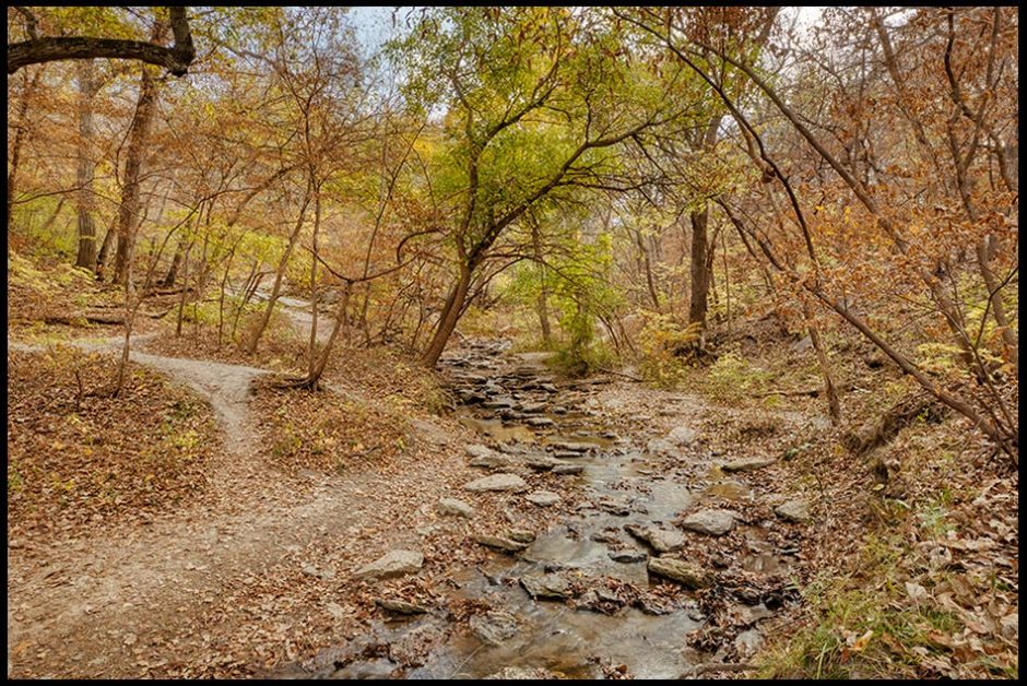 A trail through fall trees along a steam, Platte River State Park, Nebraska. Mark 10:21 and Jesus said, ""follow me."